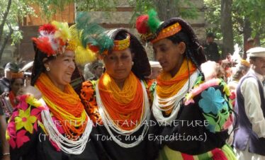 PHOOL FESTIVAL tour