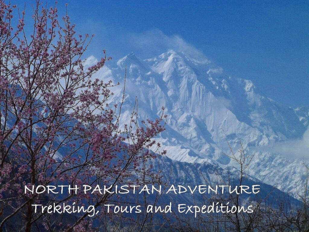 NORTH PAKISTAN BLOSSOM TOUR