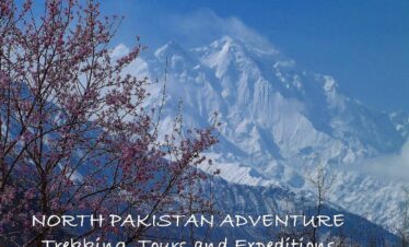 NORTH PAKISTAN BLOSSOM TOUR