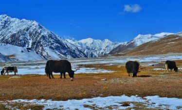 NORTH PAKISTAN AUTUMN TOUR