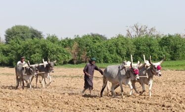 "Indus Valley Tour: Explore the Picturesque North of Pakistan on an Adventure"