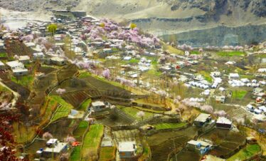 NORTH PAKISTAN BLOSSOM TOUR