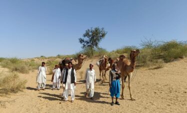 tour to tharparker