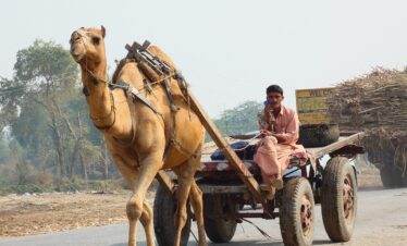 Journey From North To South Tour Pic