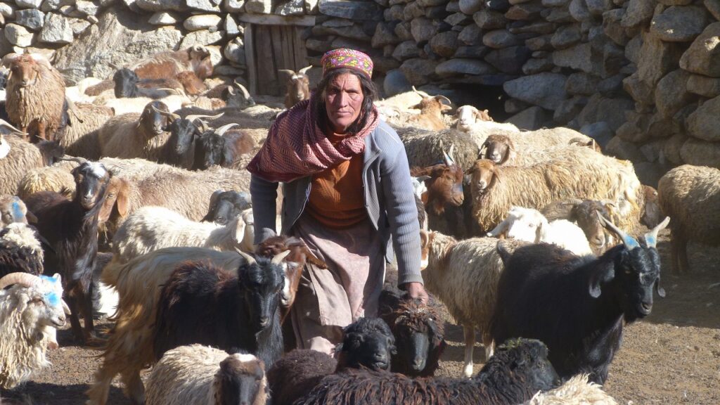 SHIMSHAL PASS – PAMIR TREK