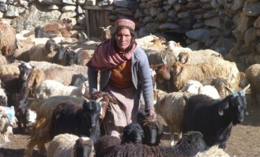 SHIMSHAL PASS – PAMIR TREK