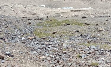 TIRCHMIR BASE CAMP TREK