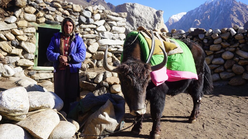 SHIMSHAL PASS – PAMIR TREK