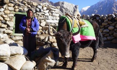 SHIMSHAL PASS – PAMIR TREK