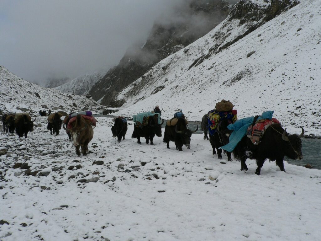 HUNZA PASSU BATURA TREK