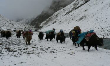HUNZA PASSU BATURA TREK
